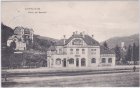 65817 Eppstein im Taunus, Bahnhof, ca. 1910