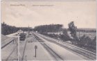 07987 Teichwolframsdorf (Mohlsdorf), Bahnhof, ca. 1920