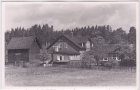 08315 Lauter (Lauter-Bernsbach), Waldhaus, ca. 1950 