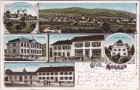 Möriken-Wildegg, u.a. Schulhaus, Farblitho, ca. 1900