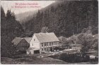 38700 Hohegeiß (Braunlage/Harz), Wolfsbachmühle, ca. 1905 