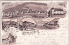 97737 Gemünden am Main, u.a. Bahnhof, Litho, ca. 1900 