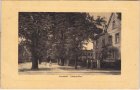 99310 Arnstadt in Thüringen, Lindenallee, ca. 1910
