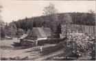 Dotterwies im Erzgebirge bei Chodau, Waldmühle, ca. 1930