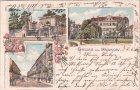 13187 Berlin-Pankow, u.a. Florastrasse, Farblitho, ca. 1900